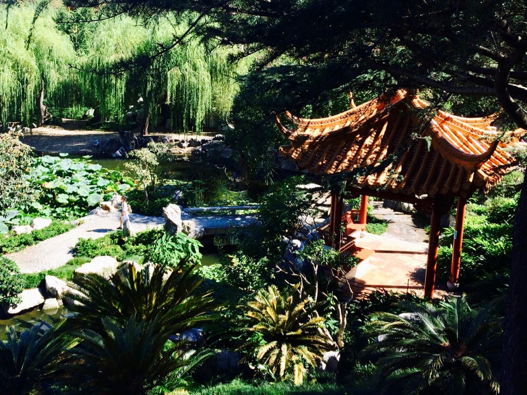 Beautiful view in the Chinese Garden