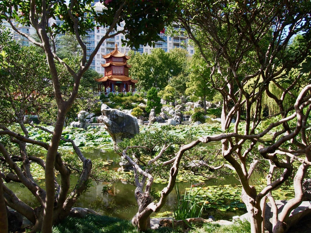 Chinese Garden of Friendship View