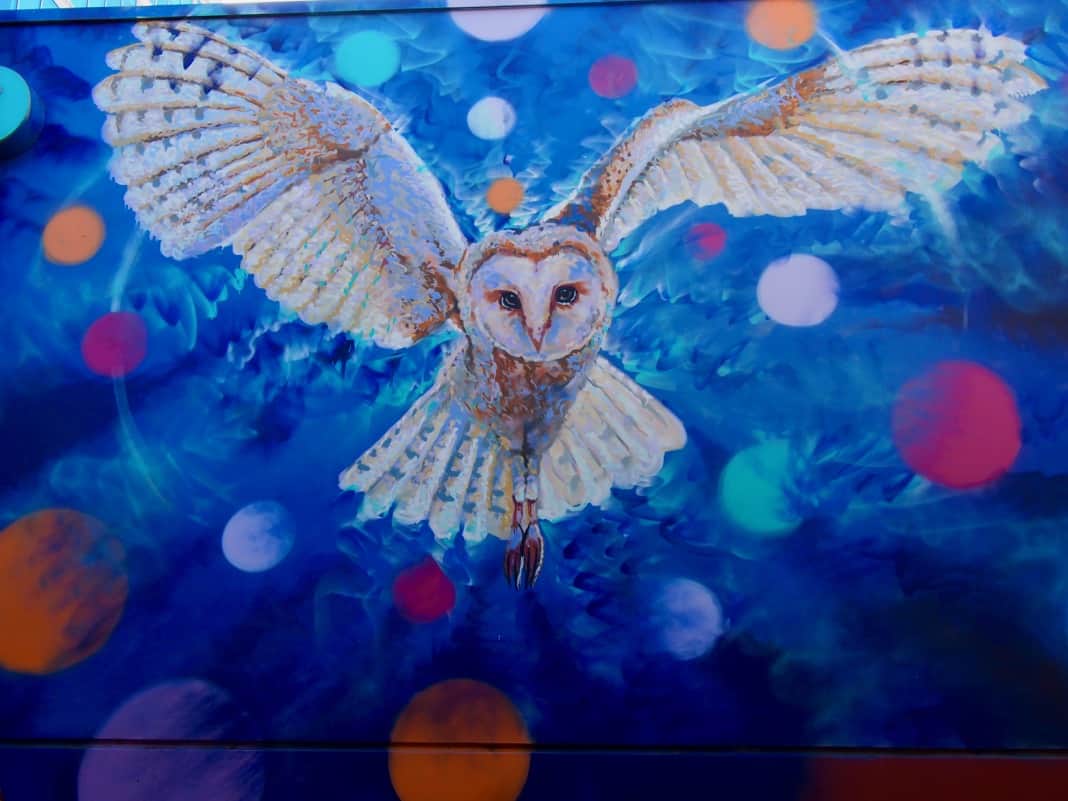 Howling Owl Mural Adelaide South Australia