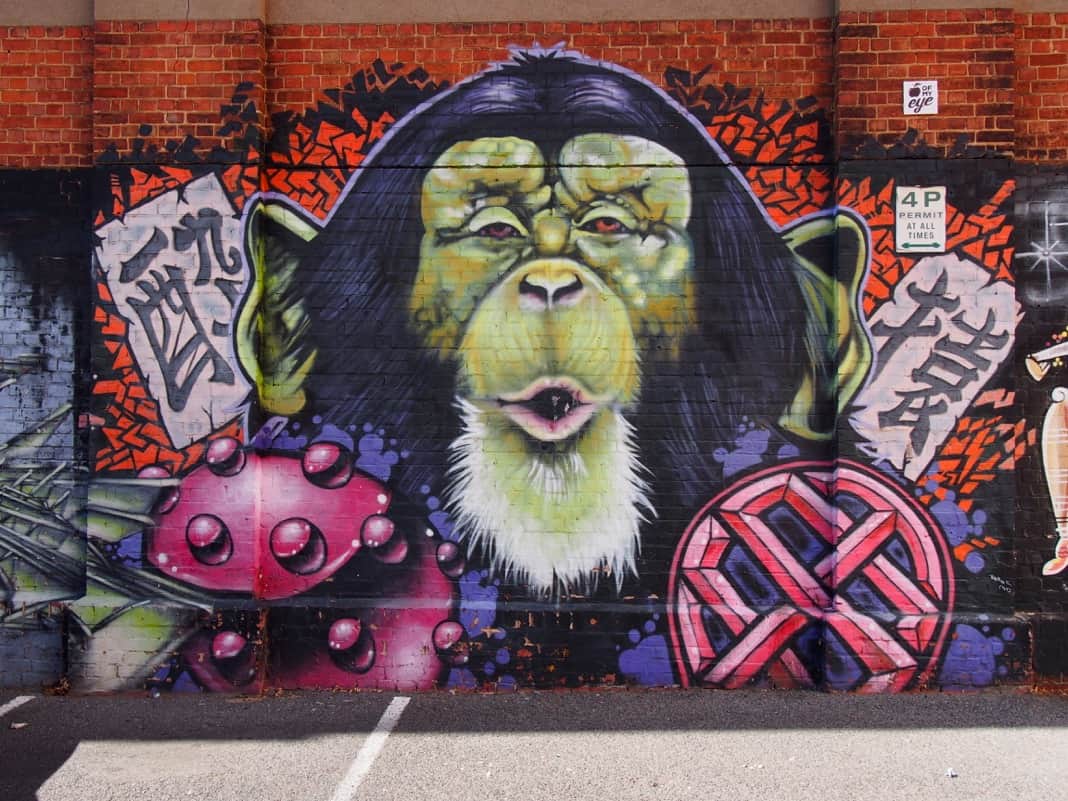 Monkey mural on Adelaide car park wall