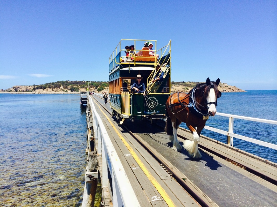 Victor Harbor Horse Drawn Tram