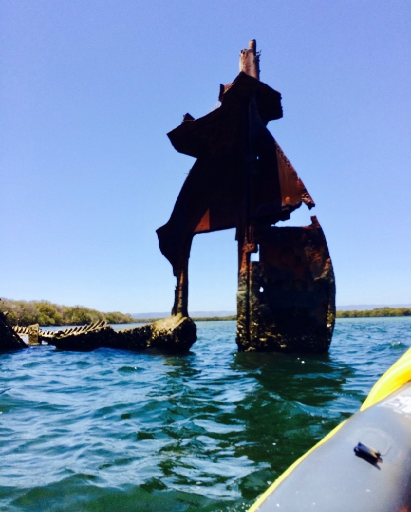 Adelaide Dolphin Sanctuary and Ship Graveyard