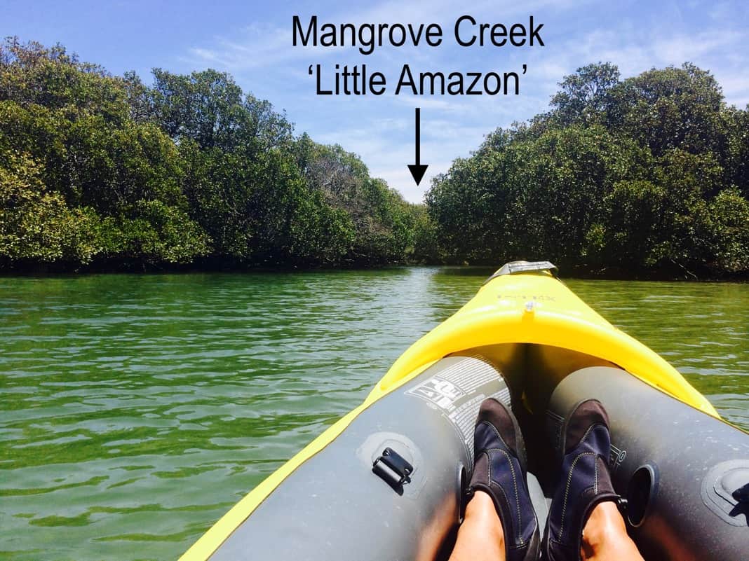 Entering Mangrove Creek