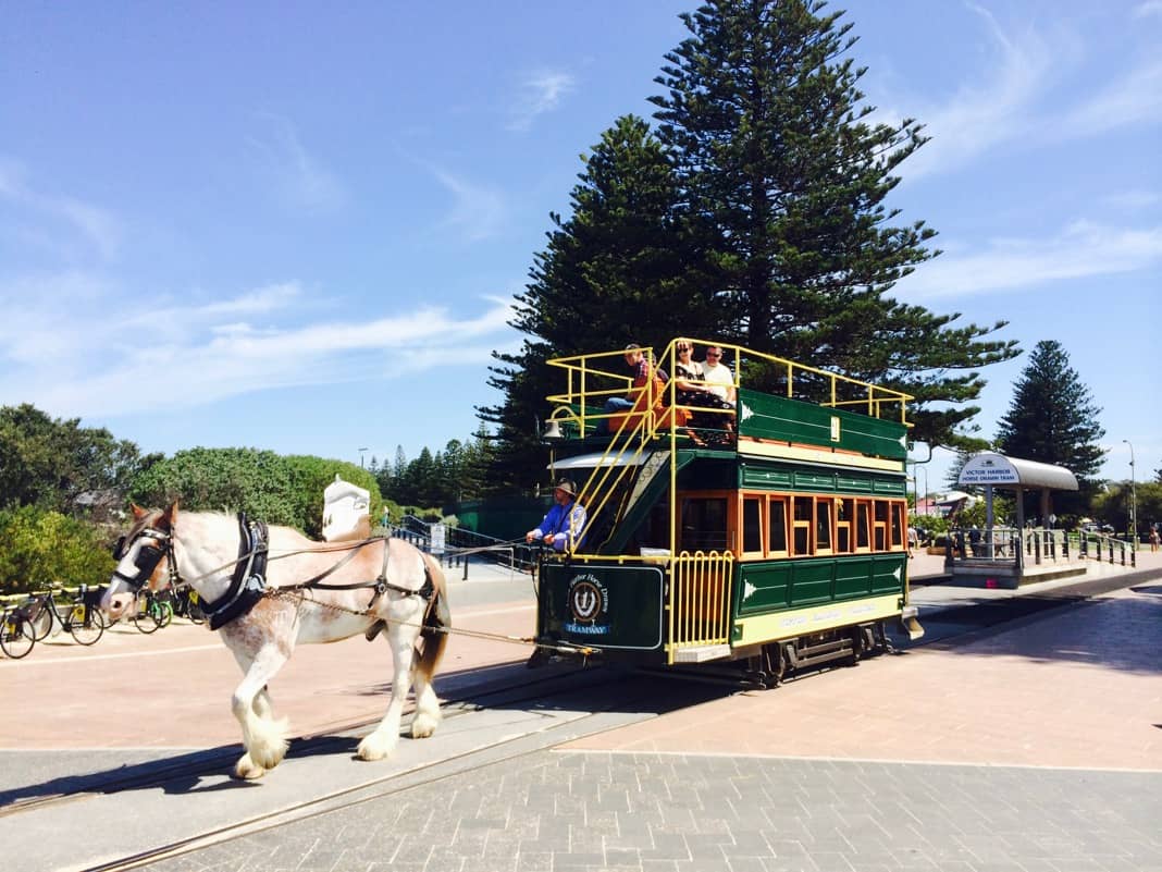 Horse Drawn Tram Victor Harbor South Australia