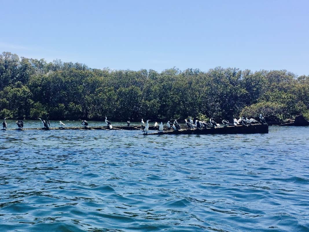 Ship Graveyard Garden Island