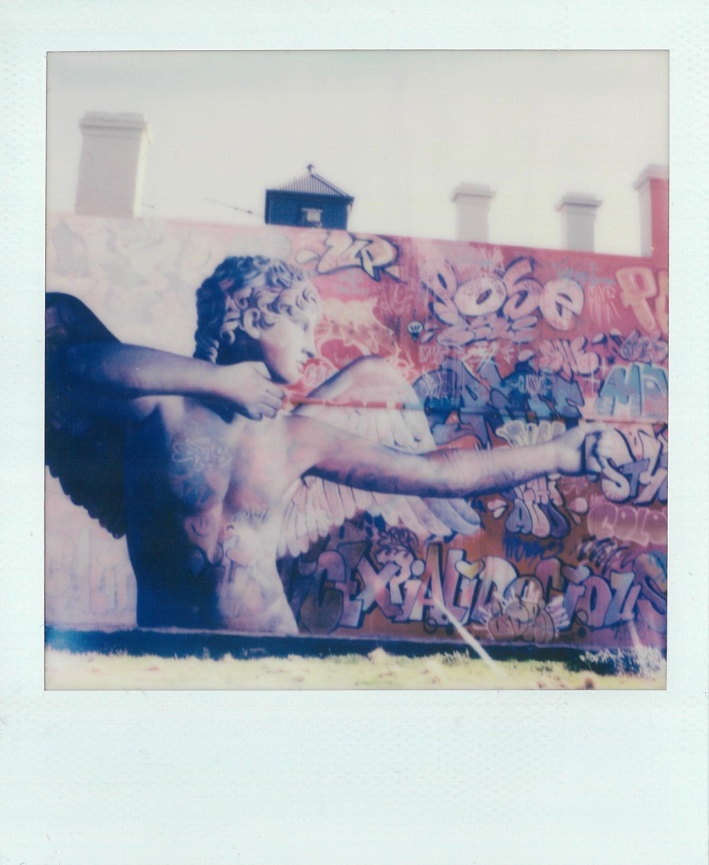 Polaroid SX-70 Photo 2 Eros