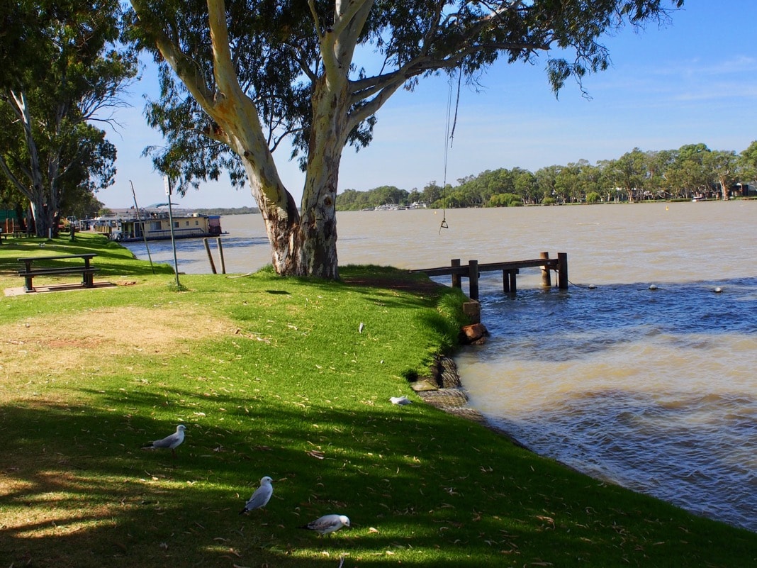 Murray River Mannum
