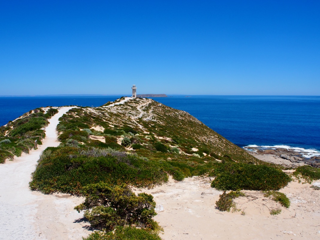 Cape Spencer Beach