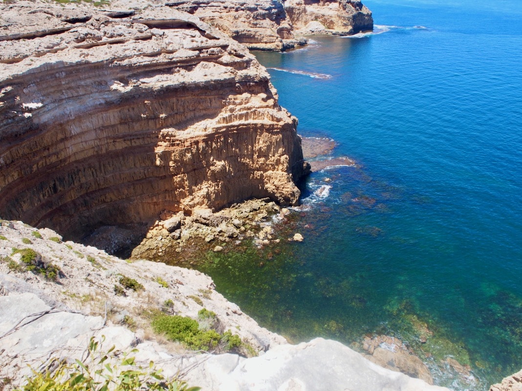 Sea Cliffs at Cape Spencer Innes National Park