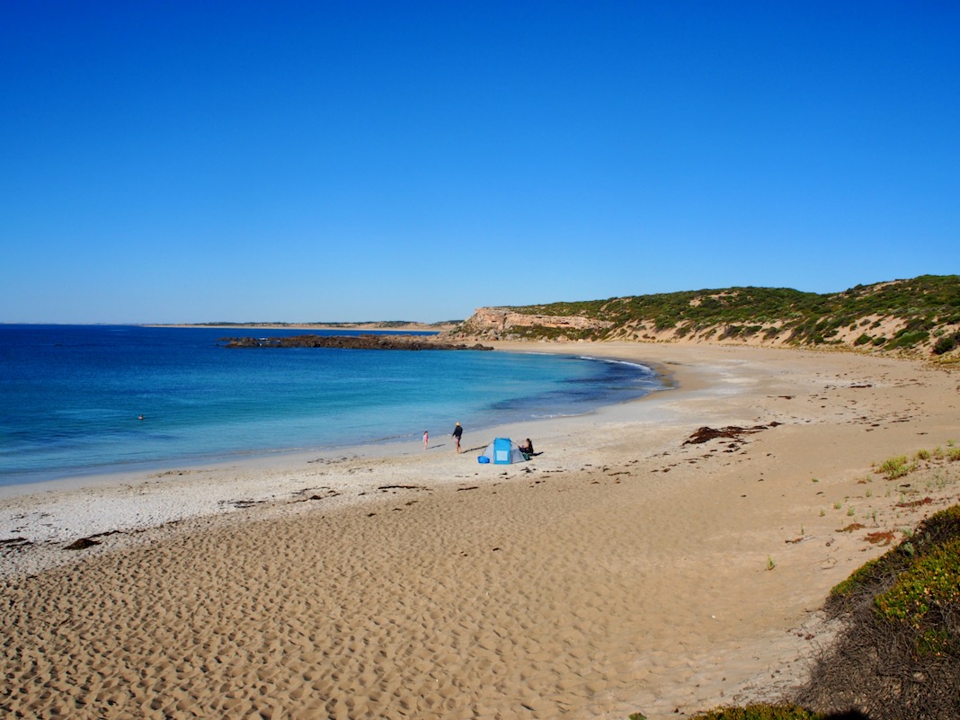 Shell Beach Dhilba Guuranda-Innes National Park