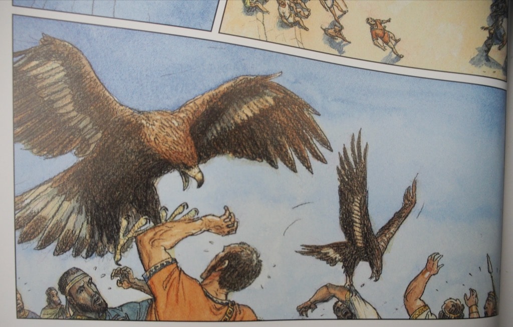 Omen Birds Attacking in The Odyssey
