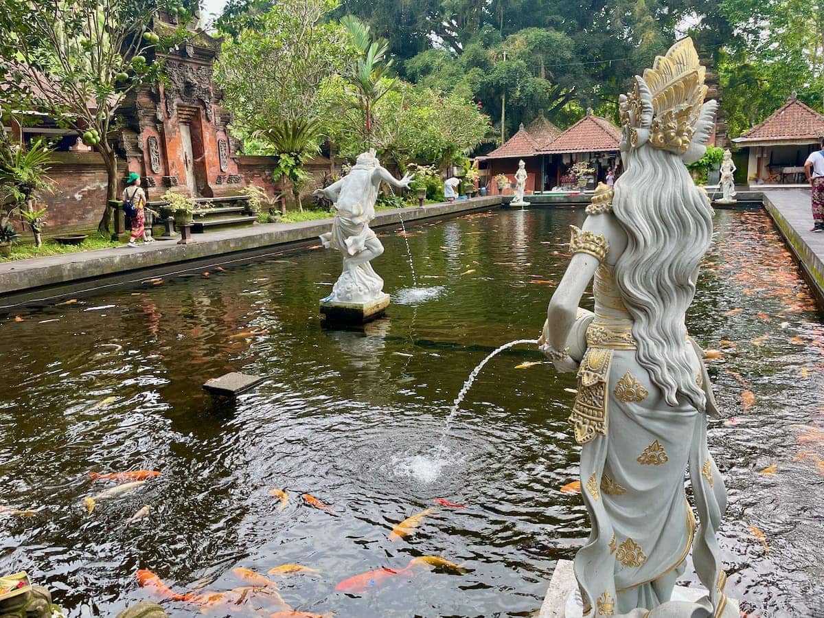 Koi Carp Gold Fish Pool at Pura Tirta Empul Holy Spring Temple Ubud Bali