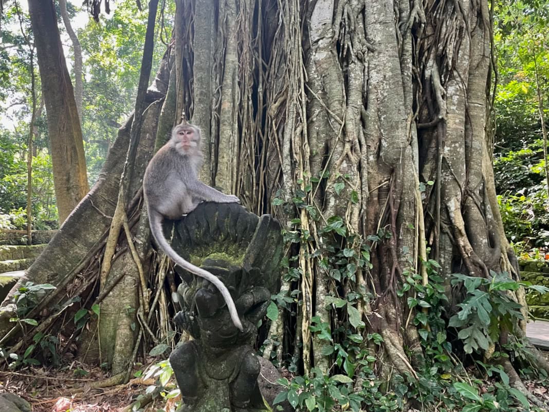 Monkey sitting on statue Sacred Monkey Forest Ubud Bali