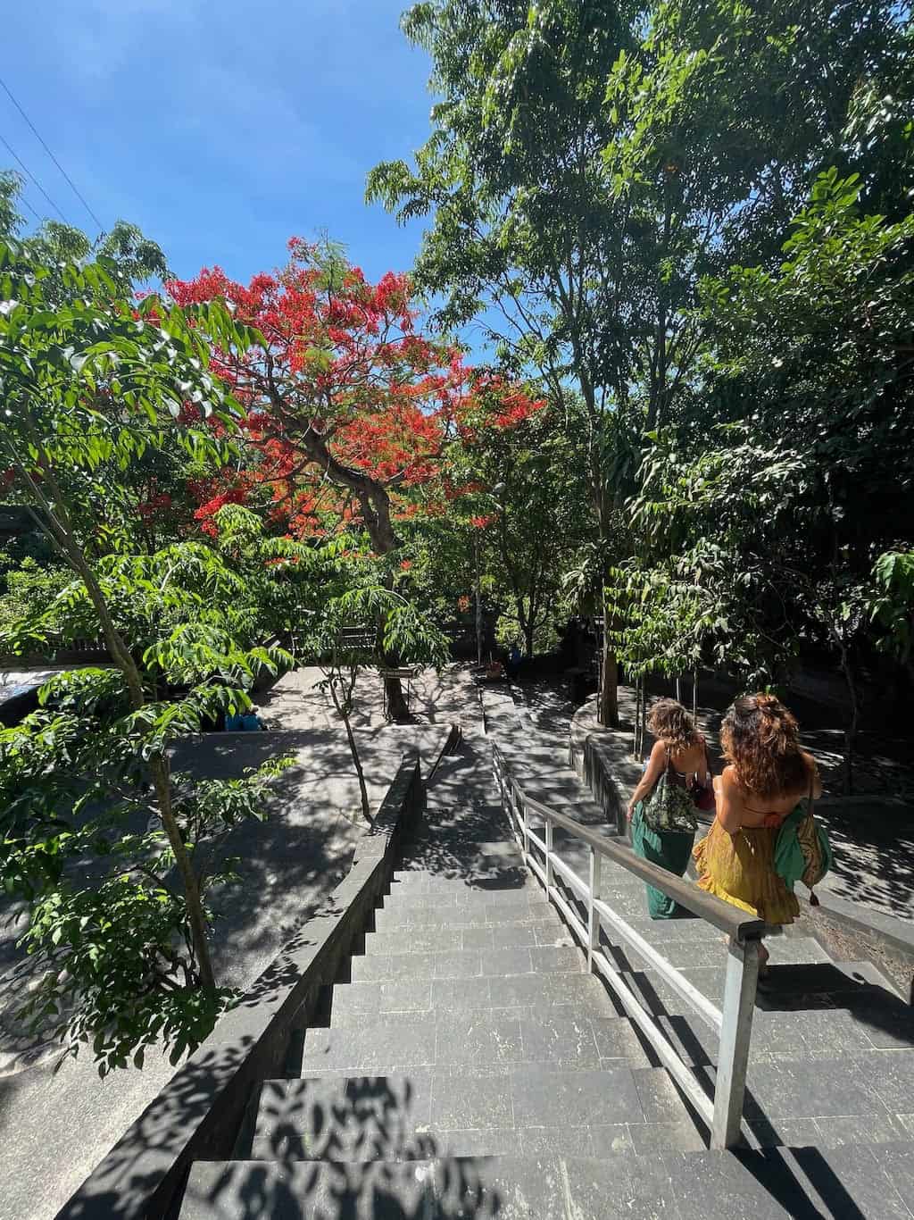 Padang Padang Beach Entrance Steps