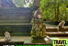 Ubud Monkey Forest Travel Guide