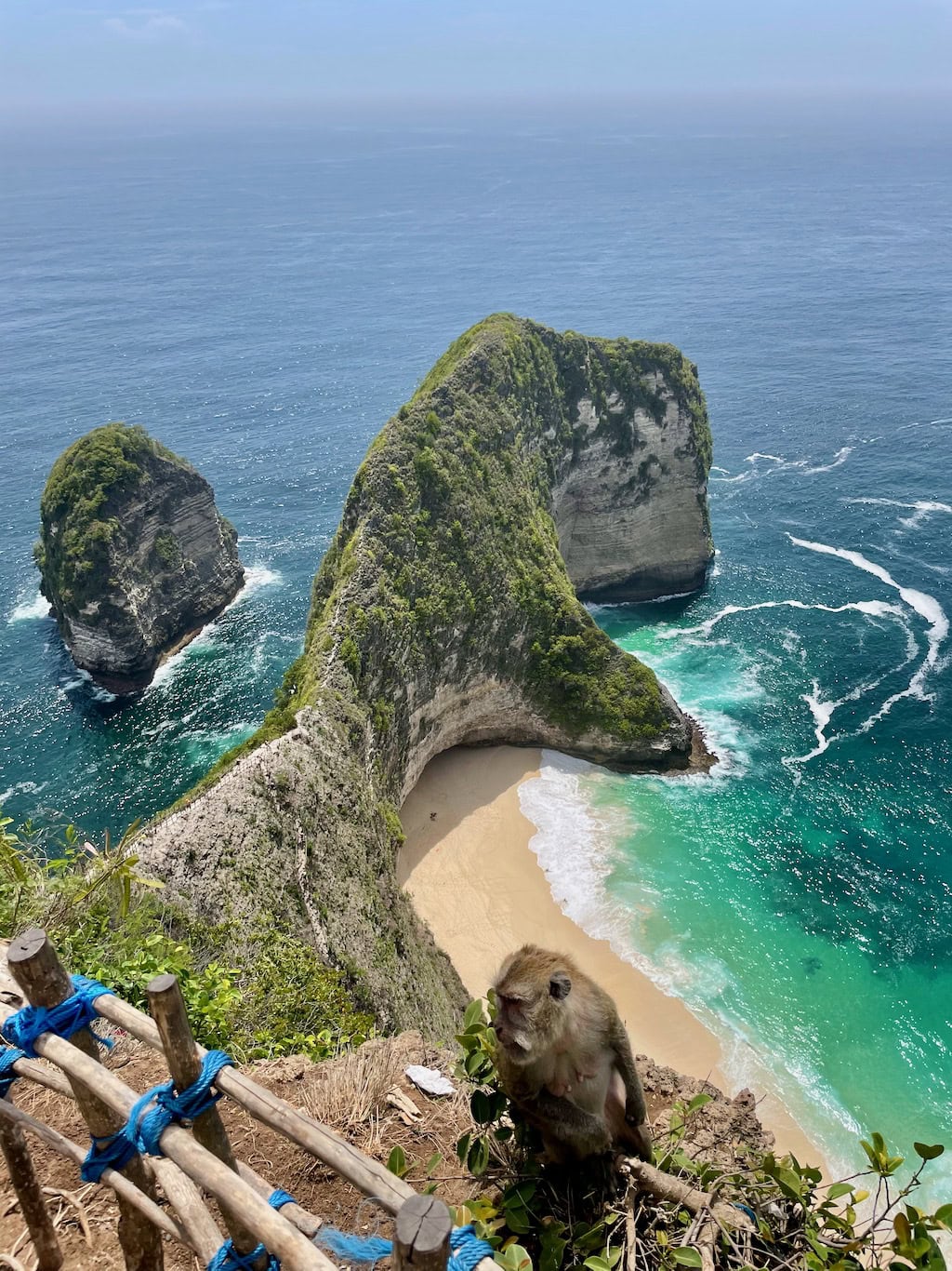 Kelingking Beach with Monkey sitting on Cliff Ledge