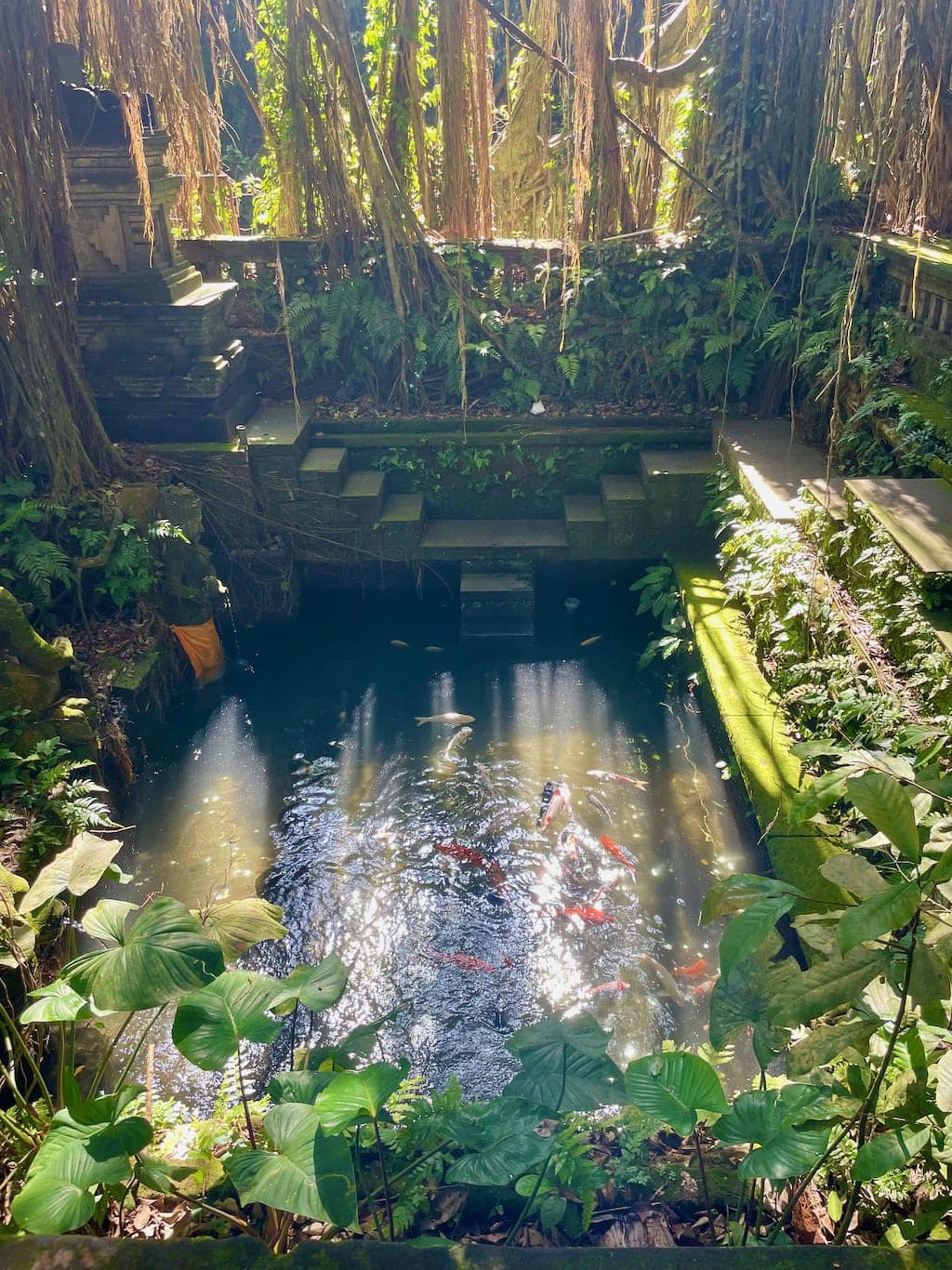 The Holy Spring Pool Monkey Forest Ubud