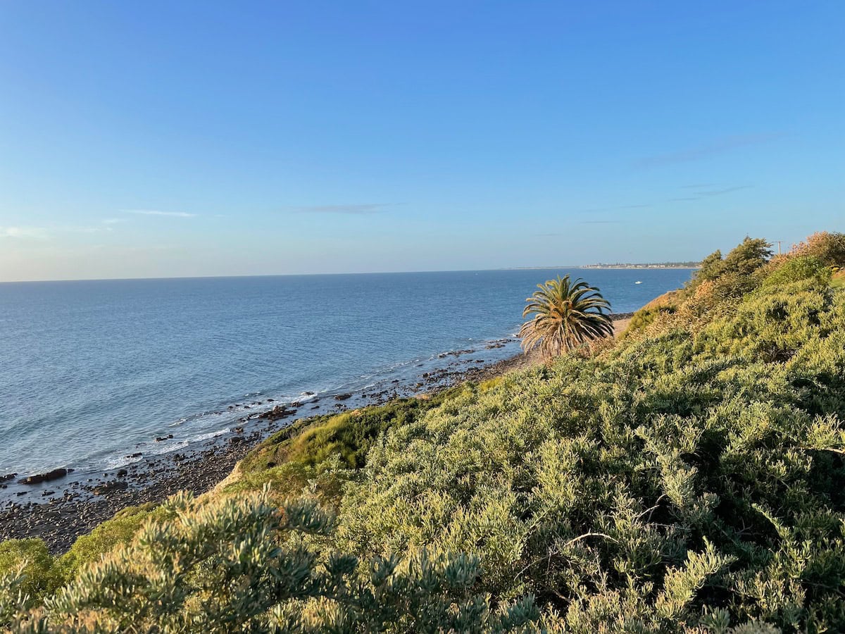 Marion Coastal Trail Ocean Views