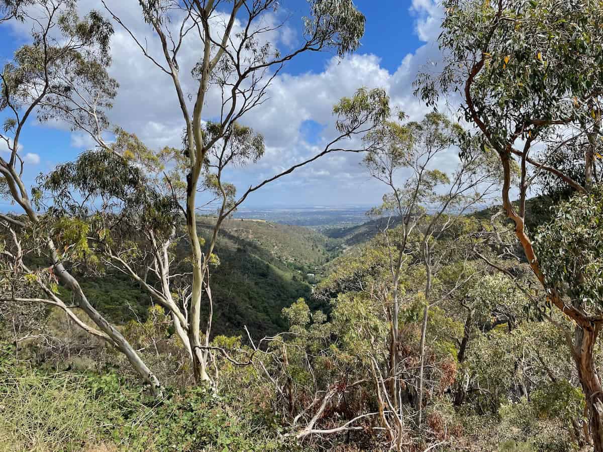 Measdays Lookout Beautiful Landscape View