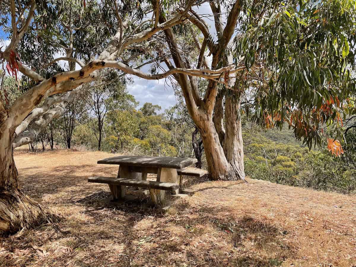 Measdays Lookout Picnic Table with Great View