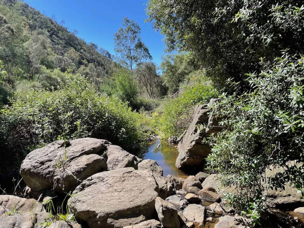 Morialta Conservation Park Hidden Gem Beautiful Spot