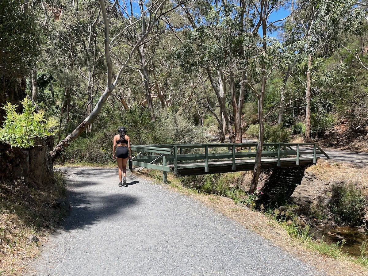 Morialta Falls Footbridge with Hiker Crossing