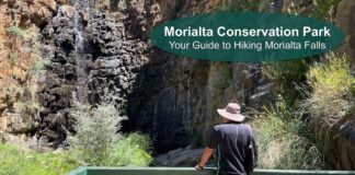 Morialta Falls Hike Guide