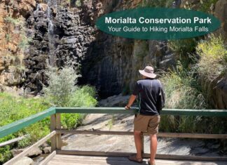 Morialta Falls Hike Guide