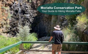 Morialta Falls Hike Guide