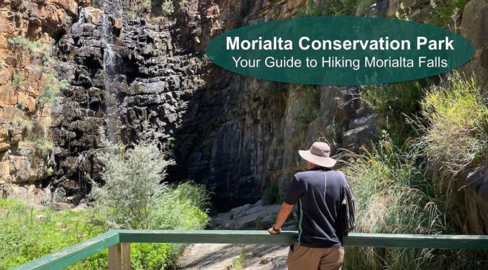 Morialta Falls Hike Guide