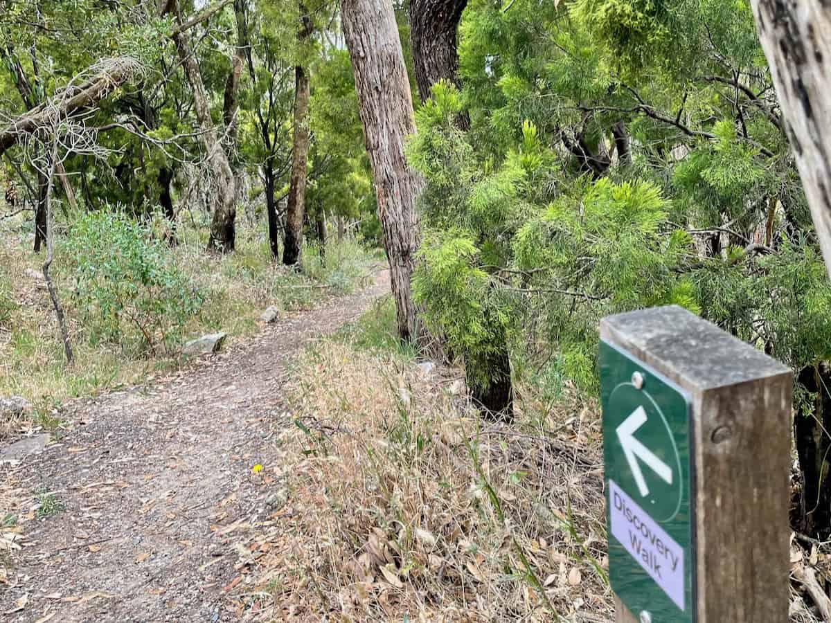 Mount Lofty Summit Discovery Walk