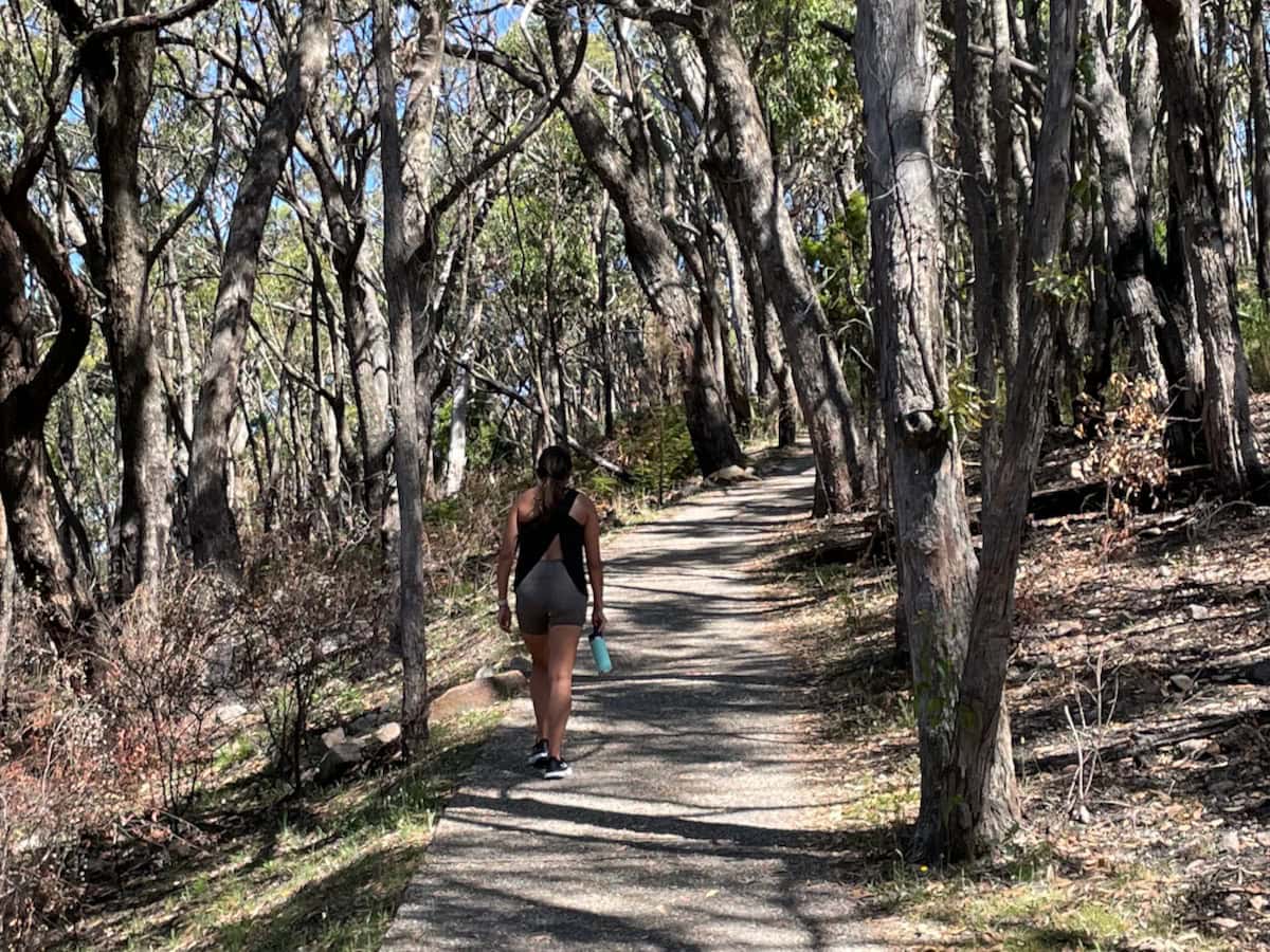 Mount Lofty Summit Trail near Top