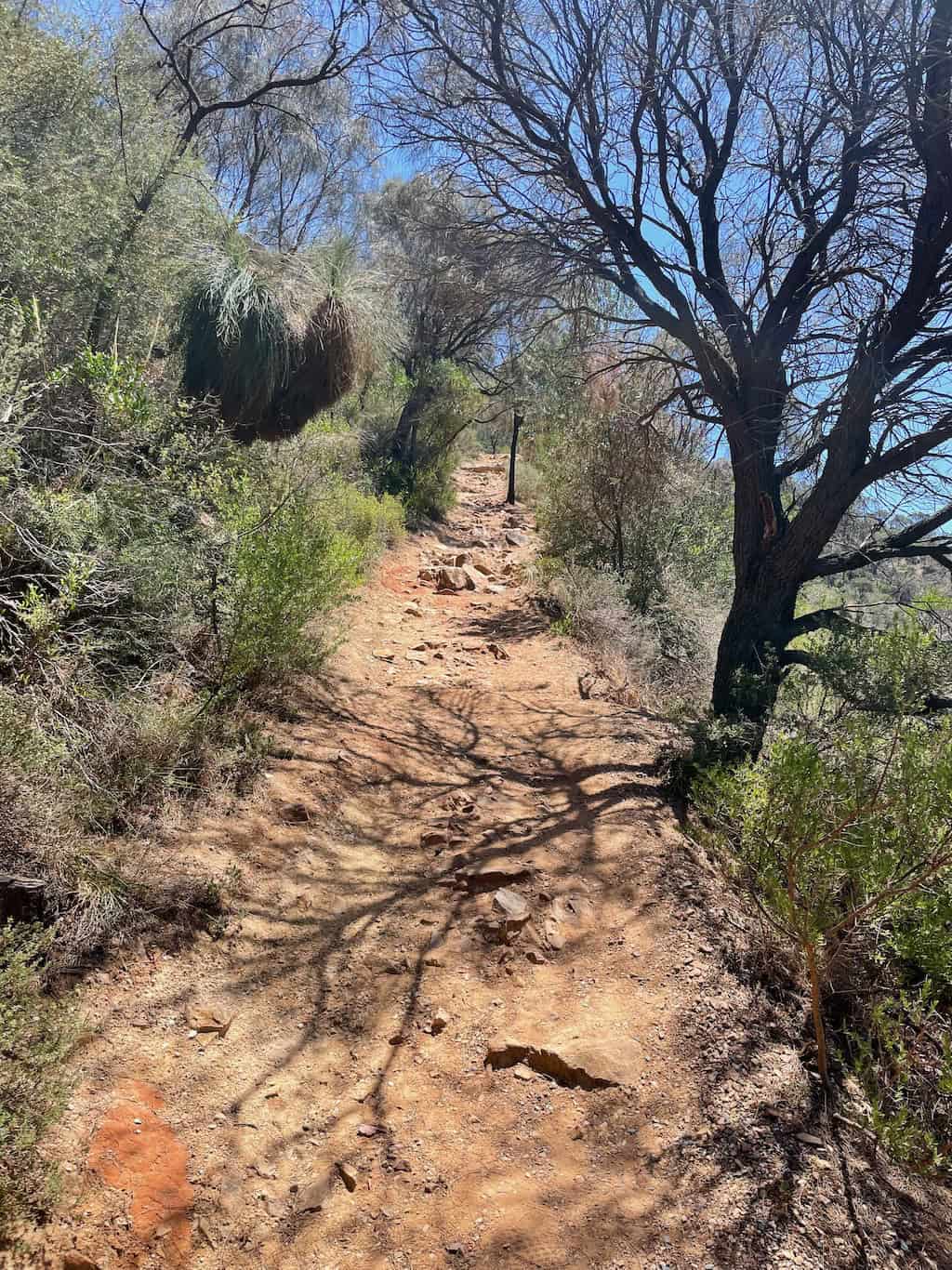 Plateau Trail leading to Eagles Nest