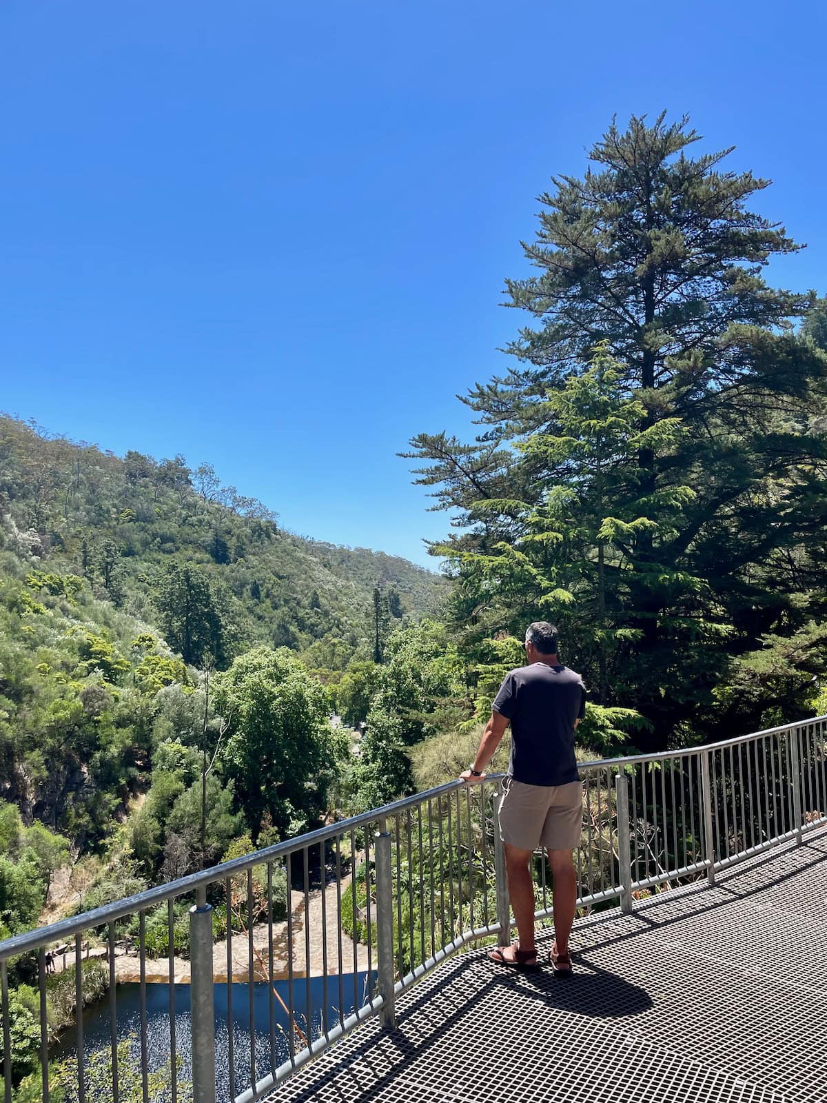 Waterfall Gully View overlooking First Falls