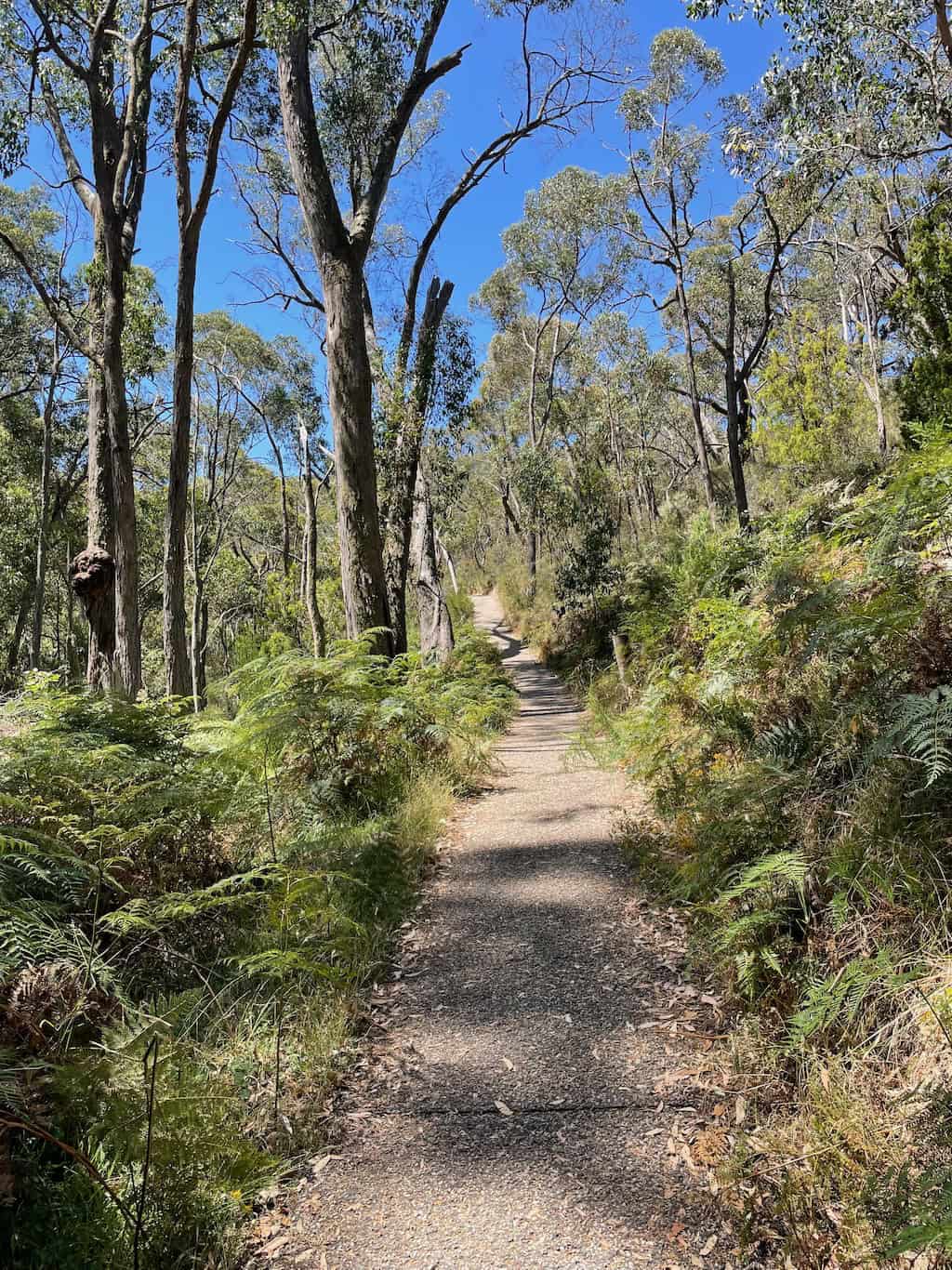 Waterfall Gully to Mount Lofty Hike Path