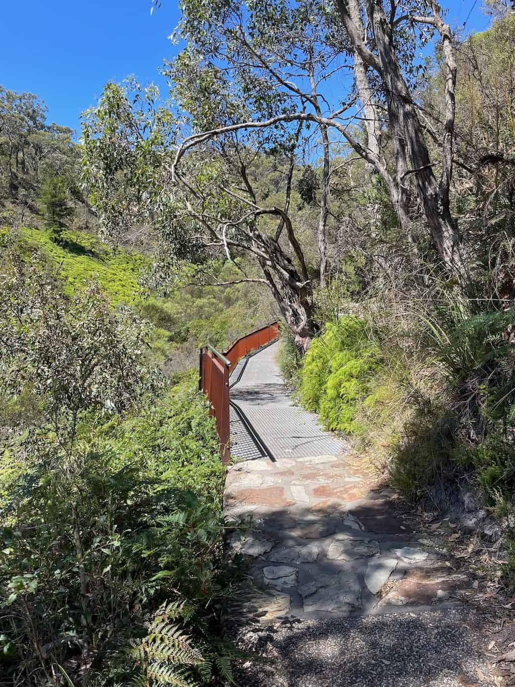 Waterfall Gully to Mount Lofty Hike Trail just before Wilsons Bog