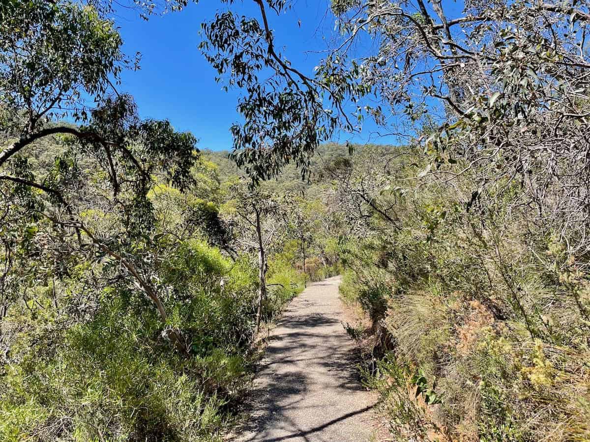 Waterfall Gully to Mount Lofty Hike Trail