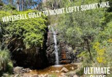 Waterfall Gully to Mount Lofty Summit Hike