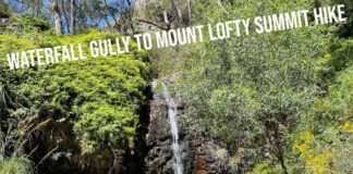 Waterfall Gully to Mount Lofty Summit Hike