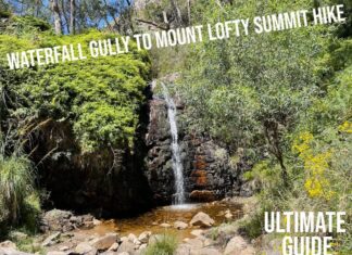 Waterfall Gully to Mount Lofty Summit Hike