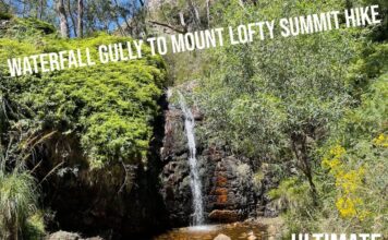 Waterfall Gully to Mount Lofty Summit Hike