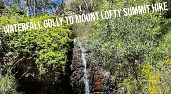 Waterfall Gully to Mount Lofty Summit Hike