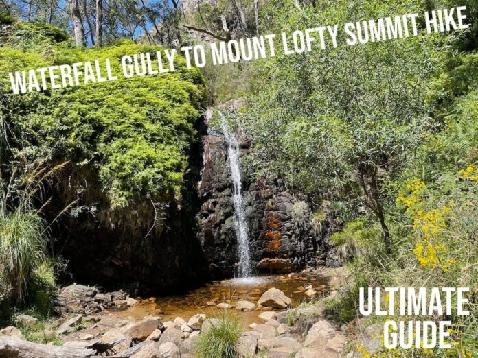 Waterfall Gully to Mount Lofty Summit Hike