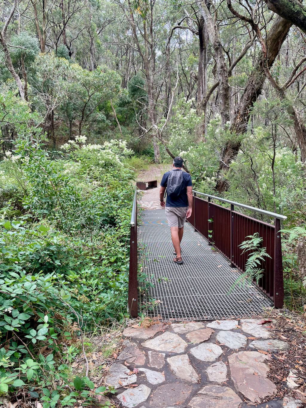 Waterfall Gully to Mount Lofty Summit Trail Hiker crossing Footbridge