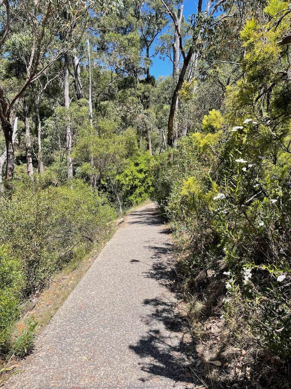 Waterfall Gully to Mount Lofty Trail Cleland National Park