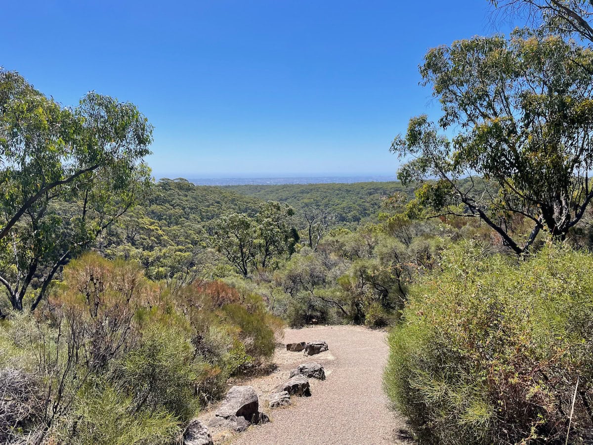 Waterfall Gully to Mount Lofty Trail through Forest and Shrubs