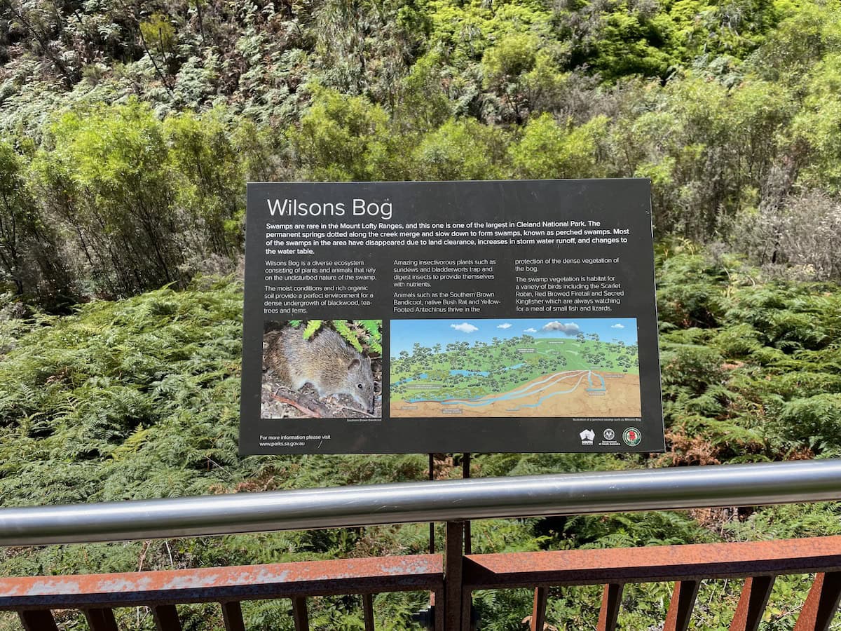 Wilsons Bog with Explanation Sign