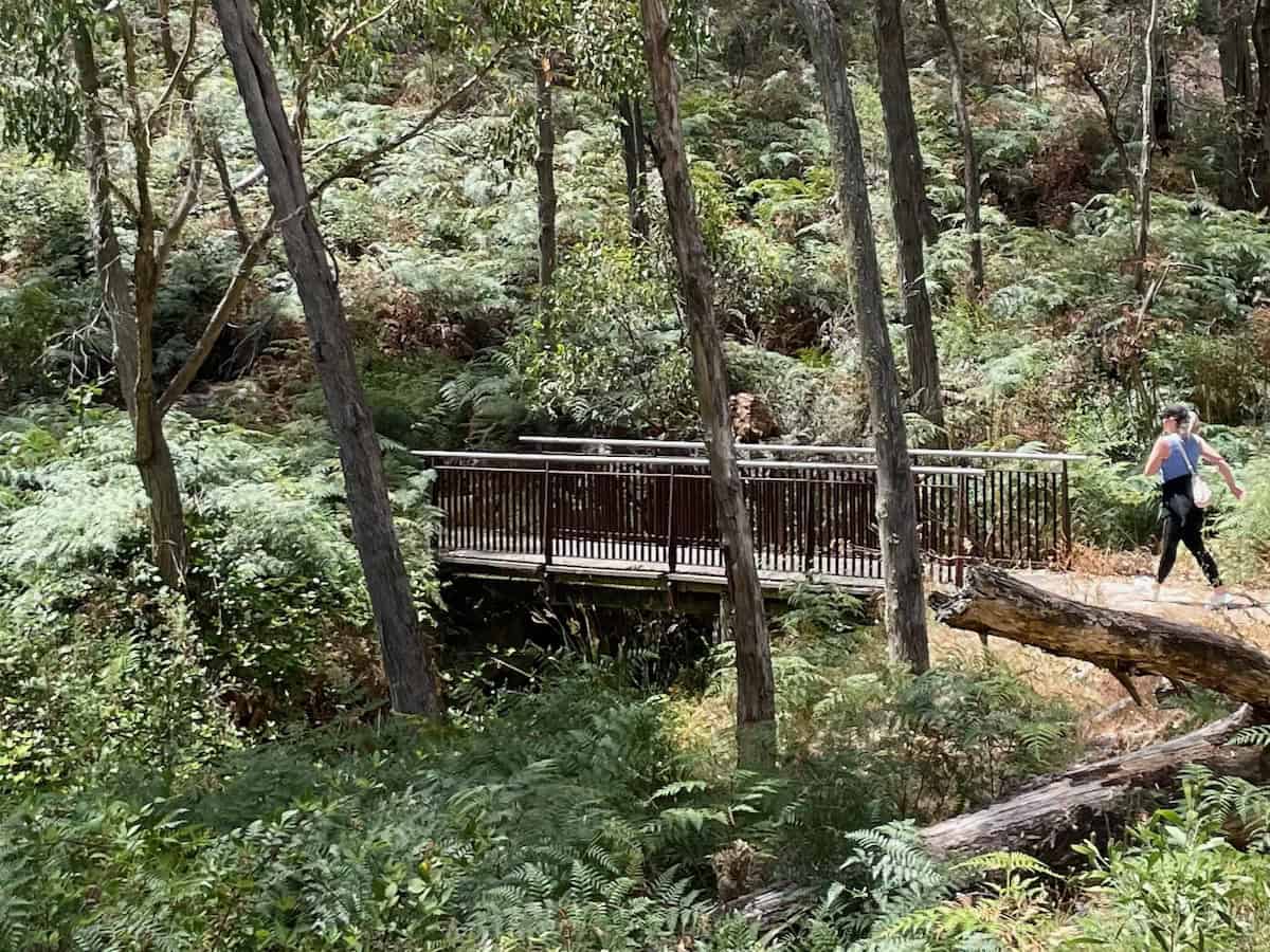 Footbridge on Waterfall Gully to Mount Lofty Hike Trail