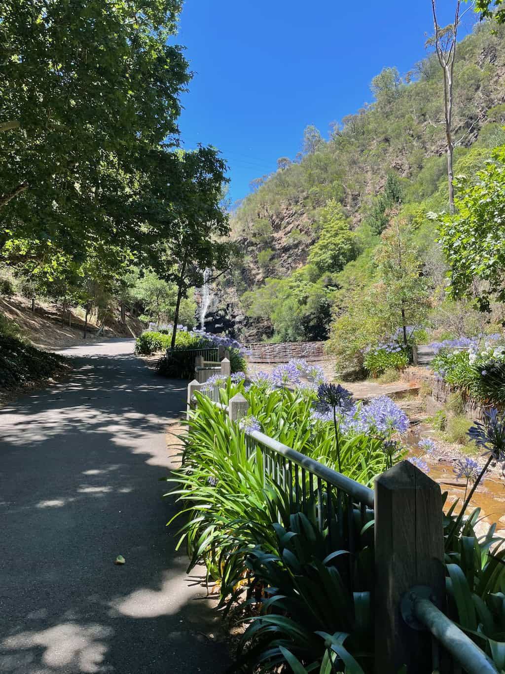 Waterfall Gully Cleland National Park