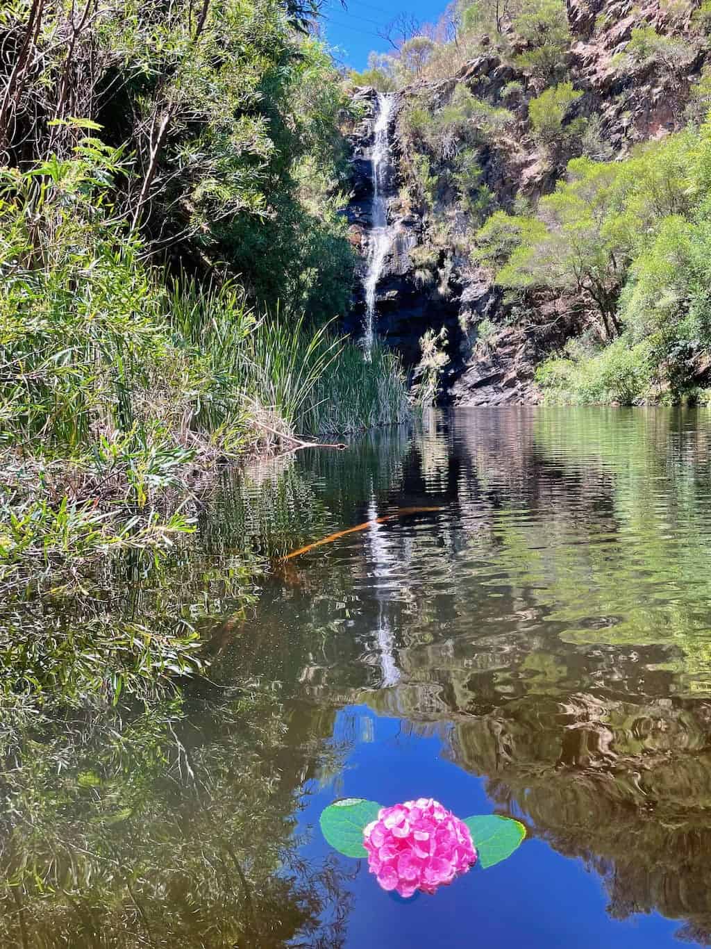 Waterfall Gully First Falls in Cleland National Park Adelaide